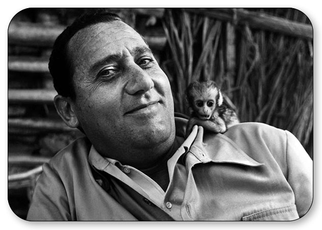 ��������� ���������. ����� Persona Alberto Sordi / �������� �����