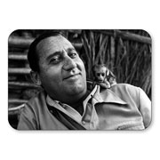 ��������� ���������. ����� Persona Alberto Sordi